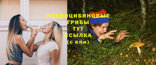 соль курить ск Вяземский