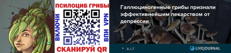 продажа наркотиков  Карабулак  Псилоцибиновые грибы ЛСД 